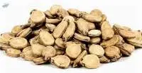Water Melon Seeds WMS