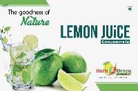 Lemon Juice Concentrate 400 GPL Cloudy