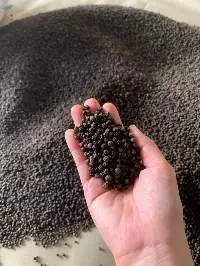 Reesha High-Quality Black Pepper