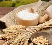 Wheat Flour For All Purposes