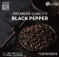 Black Pepper G/L 500