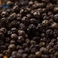 Black Pepper Best Quality Ready Stock