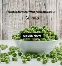Green Peas Wholesaler Guinea West Africa