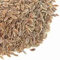 Indian Dill Seeds