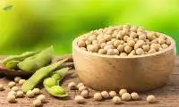 Soybean