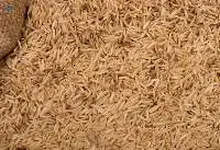Brown Long Rice