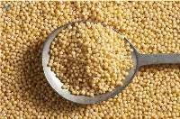 Kodo Millet
