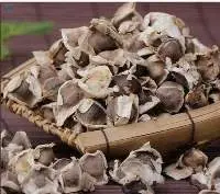 Moringa Seeds