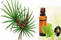 Saw Palmetto Oil