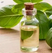 Basil Oil