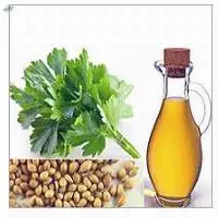 Coriander Oil