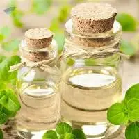 Oregano Oil