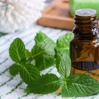 Peppermint Oil