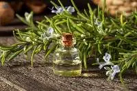 Rosemary Oil