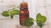 Spearmint Oil