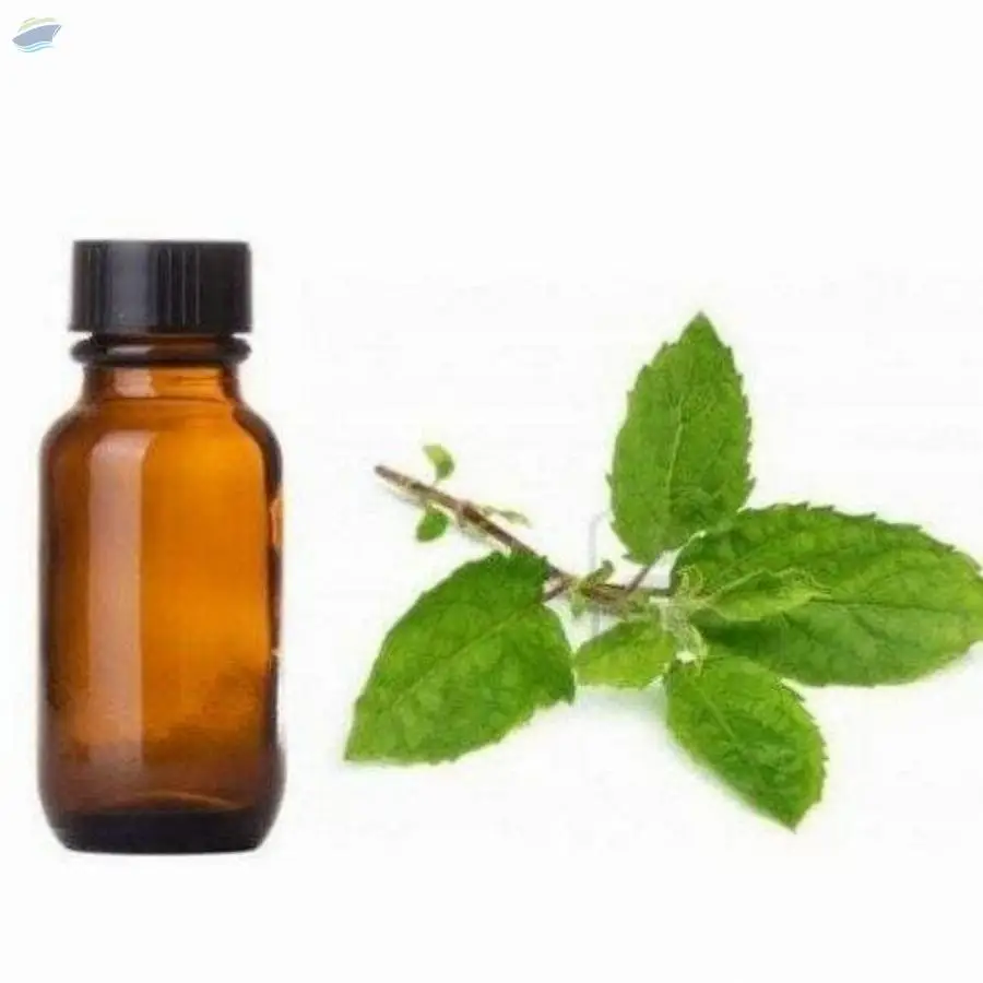Holy Basil Oil