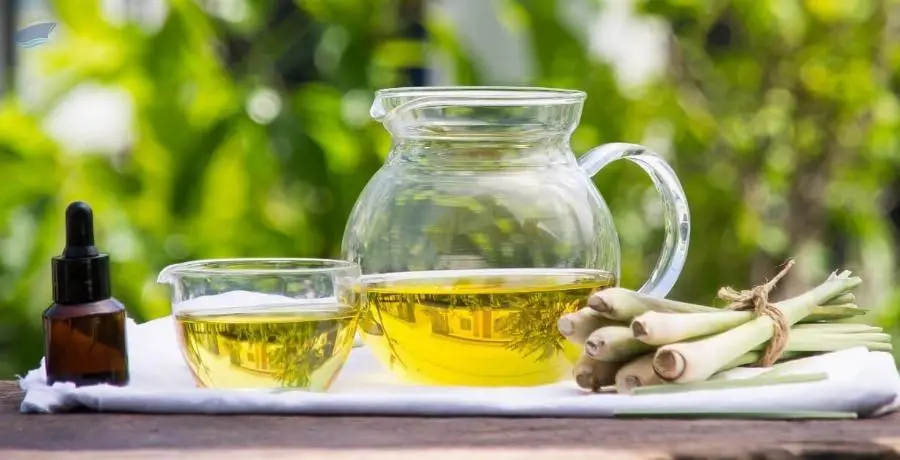 Lemongrass Oil