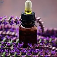Clary Sage Oil