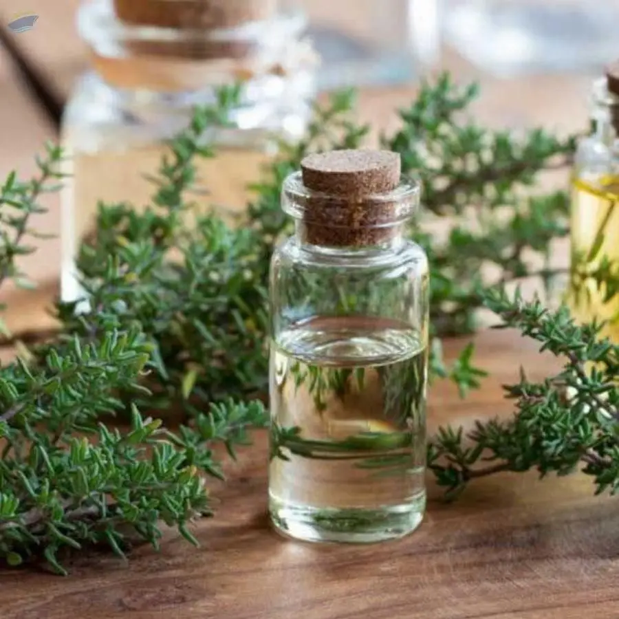 Thyme Oil (White)