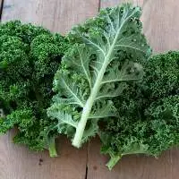 Kale Oil
