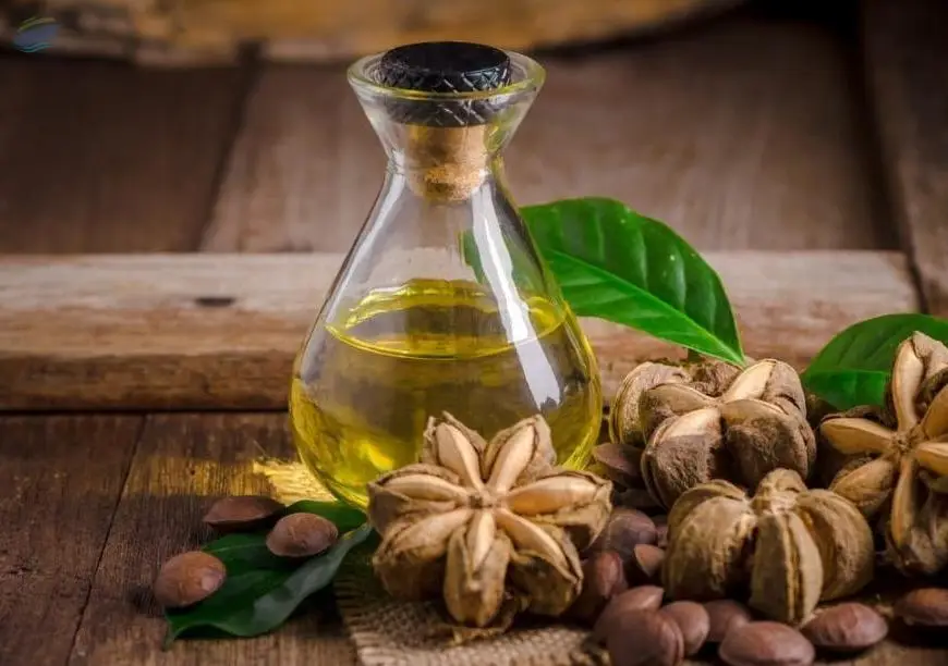 Sacha Inchi Oil