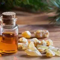 Boswellia Oil