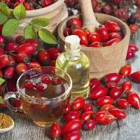 Rosehip Seed Oil