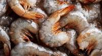 Frozen Shrimps