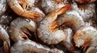 Frozen Shrimps