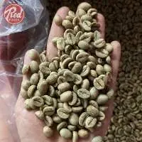 Honey Robusta Coffee Bean