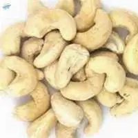 Cashew Nut