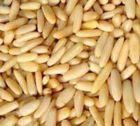 Pine Nuts