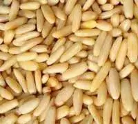 Pine Nuts