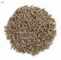 Cumin Seed