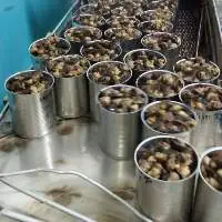 Escargot Snails Private label