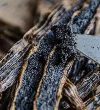 Vanilla Bean Grade A
