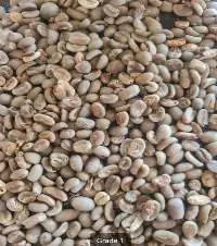 Arbica Green Bean Coffee