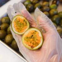 Frozen Passion Fruit with Seeds
