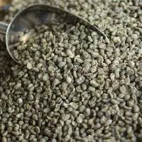 Arabica Gayo Grade 1