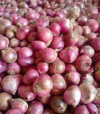 Round Shallot