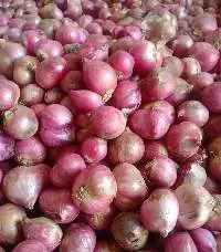 Round Shallot
