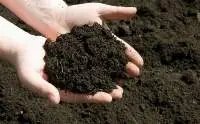 Sundried Organic Fertilizer