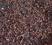 Cloves