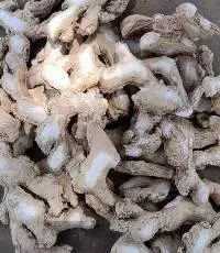 Dry Ginger With Sulphur