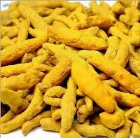 Turmeric Finger