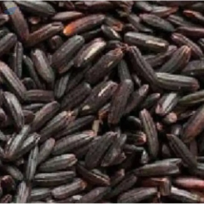 Black Rice