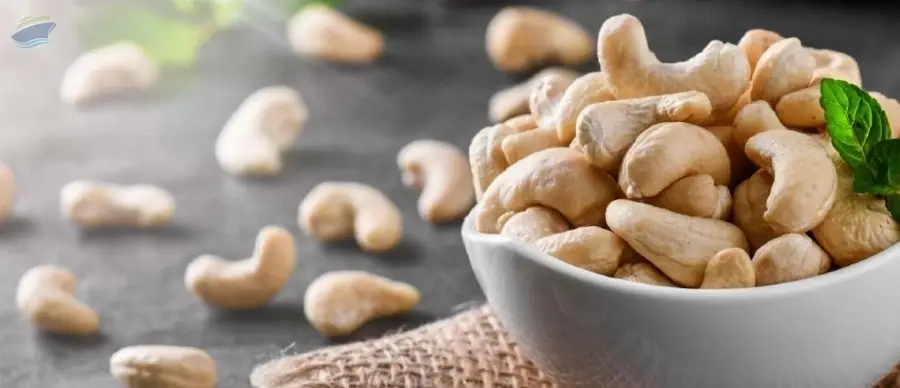 Cashew nut