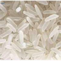 St21 Rice