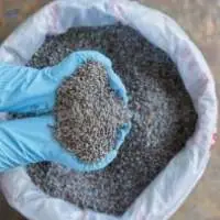 DAP (Di-ammonium Phosphate)
