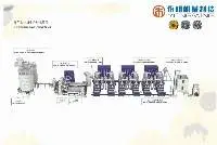 Shelling Production Line